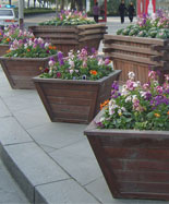 防腐木室外单个花盆HT-HX170