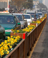 防腐木花箱隔离带HT-HX410