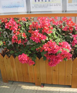 室内外防腐实木户外花箱HT-HX570